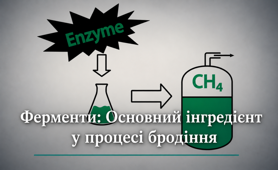 Ферменти: Основний інгредієнт у процесі бродіння