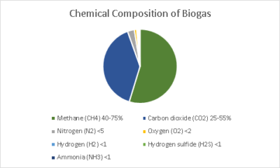 Biogas Formation Process