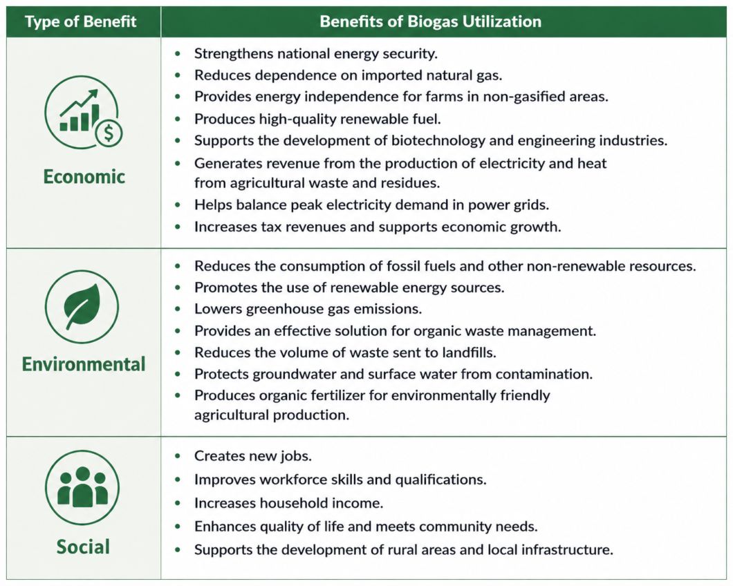 Biogas Utilisation Options