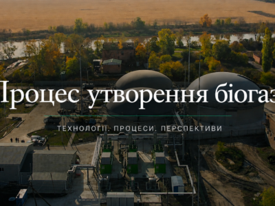 Процес утворення біогазу