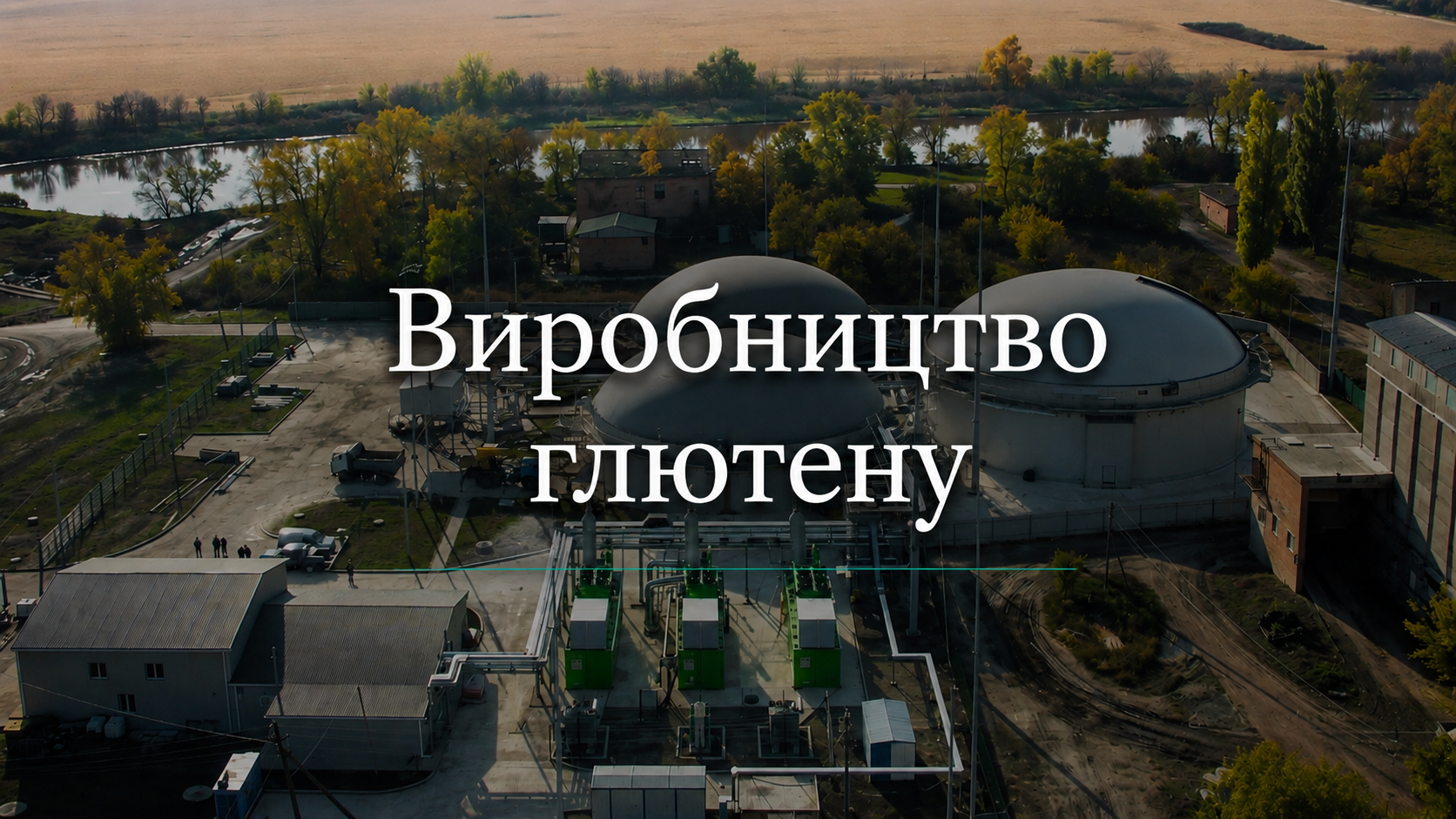 Виробництво глютену